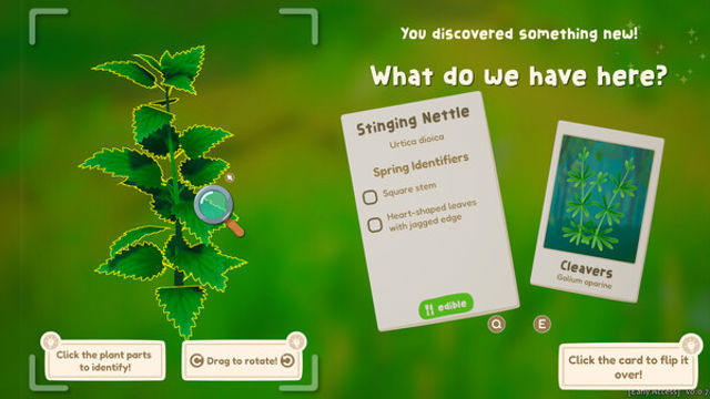 Hình ảnh trong game Out and About Early Access