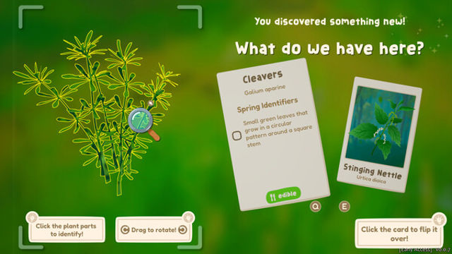 Hình ảnh trong game Out and About Early Access