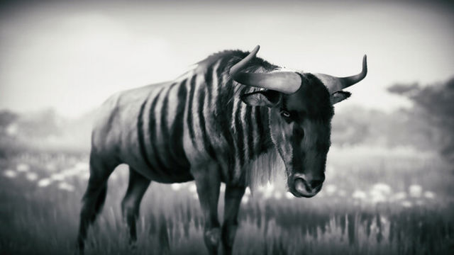 Hình ảnh trong game Seclusa-GoldBerg