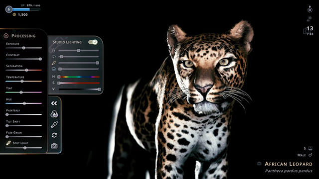 Hình ảnh trong game Seclusa-GoldBerg