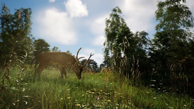 Hình ảnh trong game DREADZONE v1.5 Early Access
