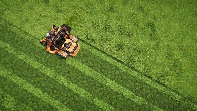 Hình ảnh trong game Lawn Mowing Simulator 2-RUNE