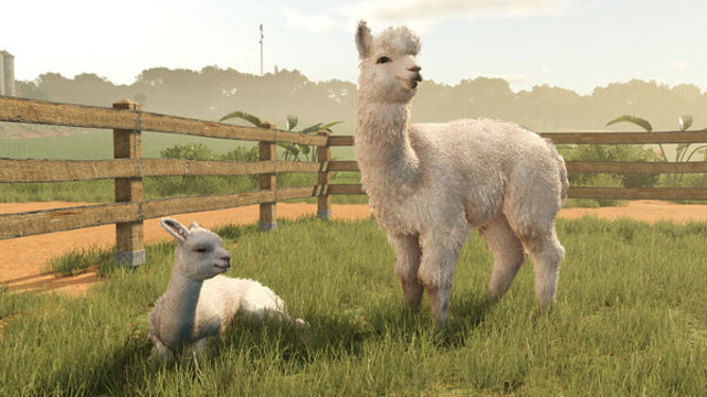 Hình ảnh trong game Farming Simulator 25 Beans and Alpacas-RUNE