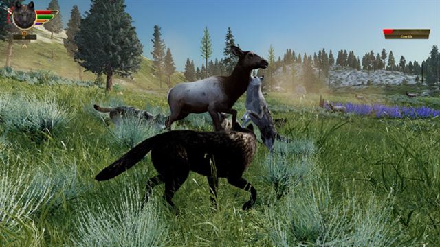 Hình ảnh trong game WolfQuest Anniversary Edition v2.0.3d-P2P