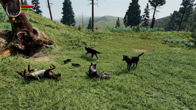 Hình ảnh trong game WolfQuest Anniversary Edition v2.0.3d-P2P