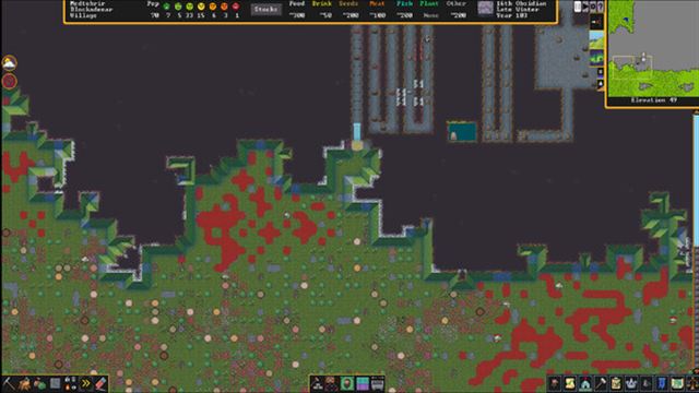 Hình ảnh trong game Dwarf Fortress v51.07-P2P