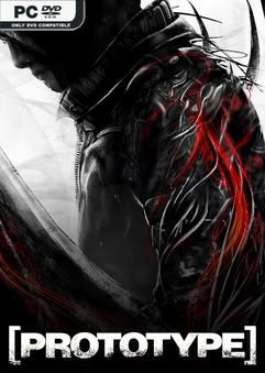 Prototype v20250929-P2P