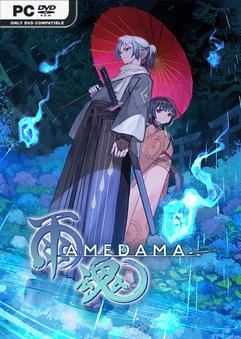 AMEDAMA-TENOKE